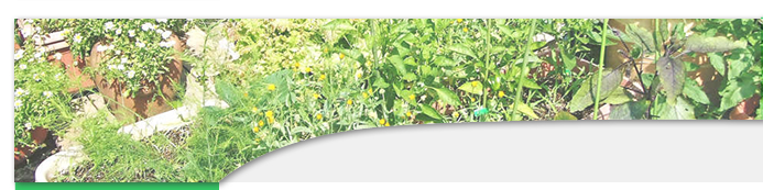 造園・ガーデニング